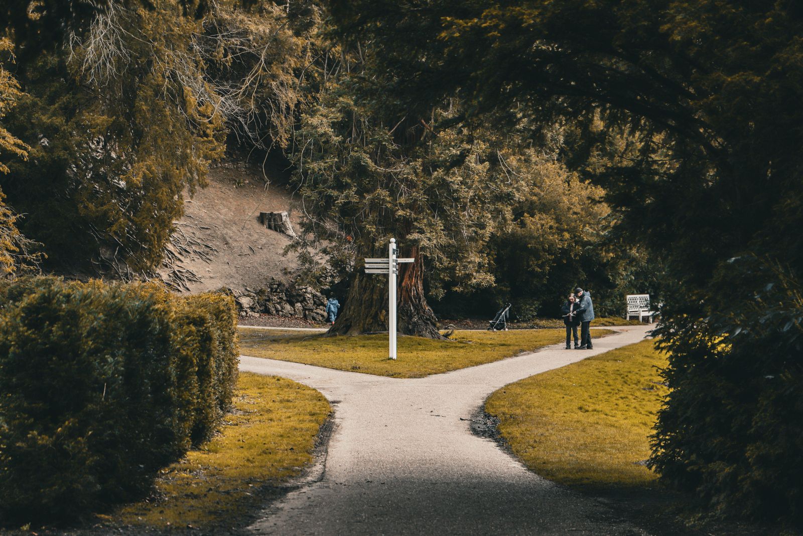 A forking path, representing the choice between different business exit routes