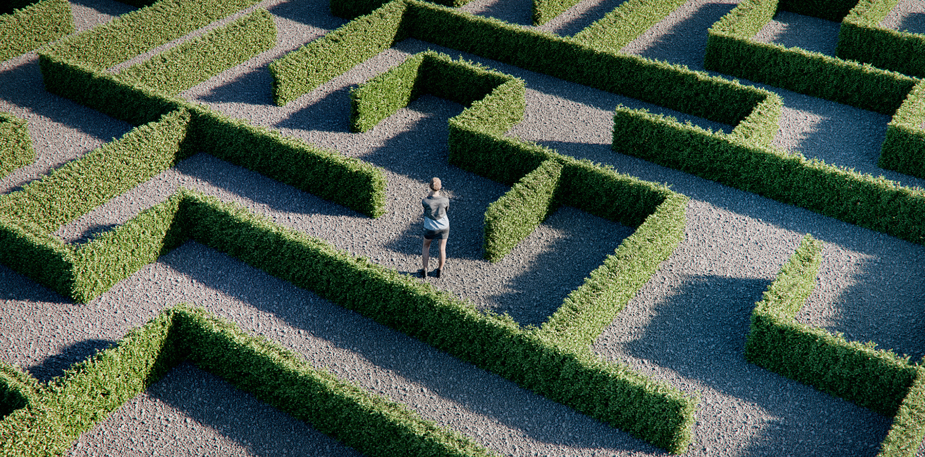 A person standing in a large hedge maze, viewed from above